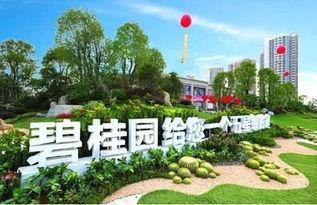 玉林碧桂园爆料案件最新,揭秘背后惊人真相,业主权益如何保障?