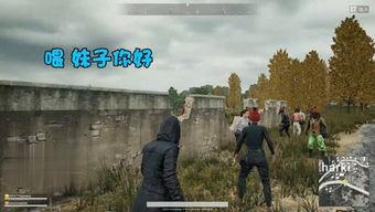 砀山最新事件爆料,揭秘背后真相,引发社会关注